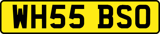 WH55BSO