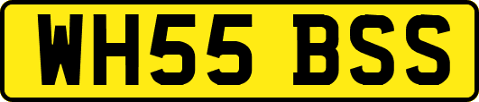WH55BSS