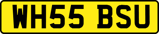WH55BSU