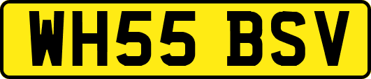 WH55BSV