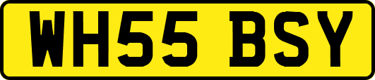WH55BSY