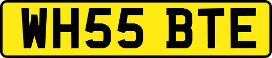 WH55BTE