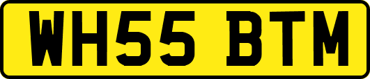 WH55BTM