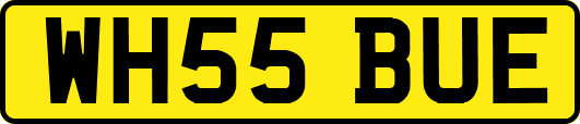 WH55BUE