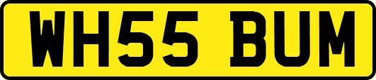 WH55BUM
