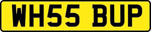 WH55BUP