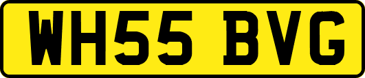 WH55BVG
