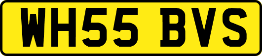 WH55BVS
