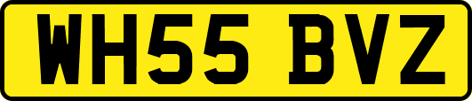 WH55BVZ