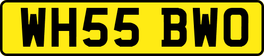 WH55BWO