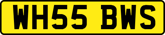 WH55BWS