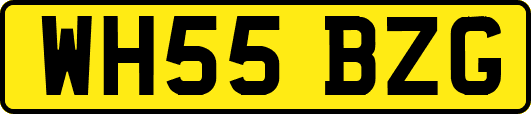 WH55BZG