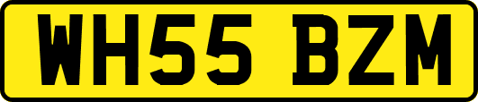 WH55BZM