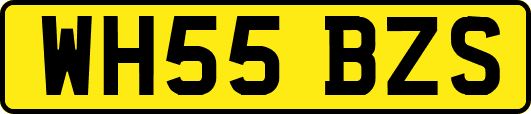 WH55BZS