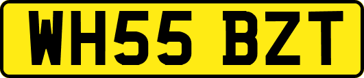WH55BZT