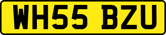 WH55BZU