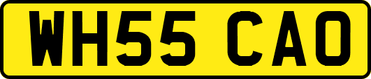 WH55CAO