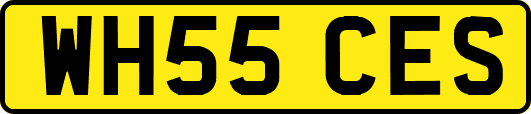 WH55CES