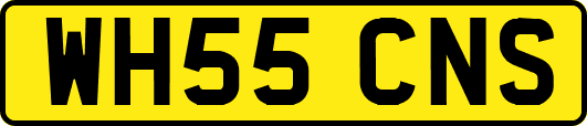 WH55CNS