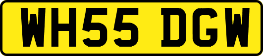 WH55DGW