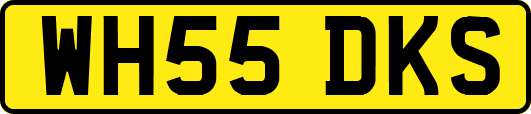 WH55DKS
