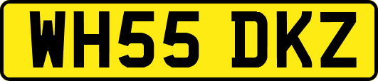 WH55DKZ