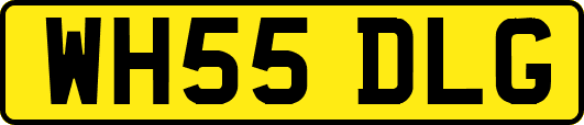 WH55DLG