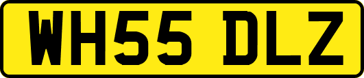 WH55DLZ