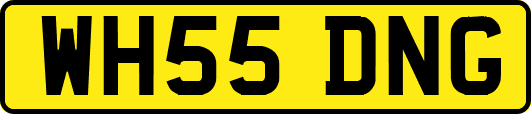 WH55DNG