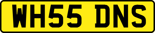 WH55DNS