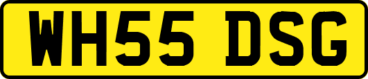 WH55DSG