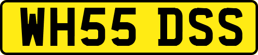 WH55DSS