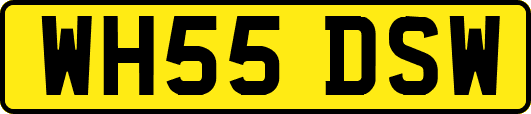 WH55DSW