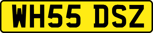 WH55DSZ