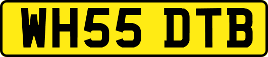 WH55DTB