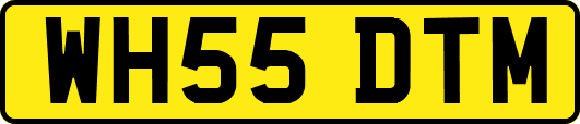 WH55DTM