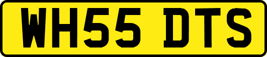 WH55DTS