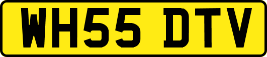 WH55DTV