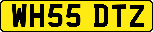 WH55DTZ