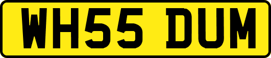 WH55DUM