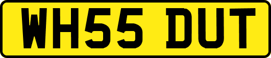 WH55DUT