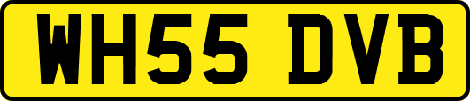 WH55DVB