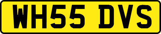 WH55DVS