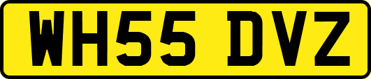 WH55DVZ