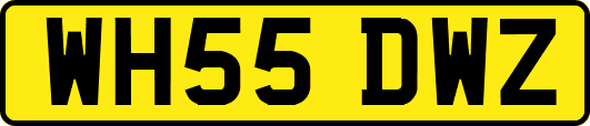 WH55DWZ