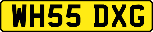 WH55DXG
