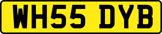 WH55DYB