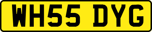 WH55DYG