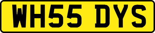 WH55DYS
