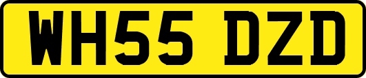 WH55DZD